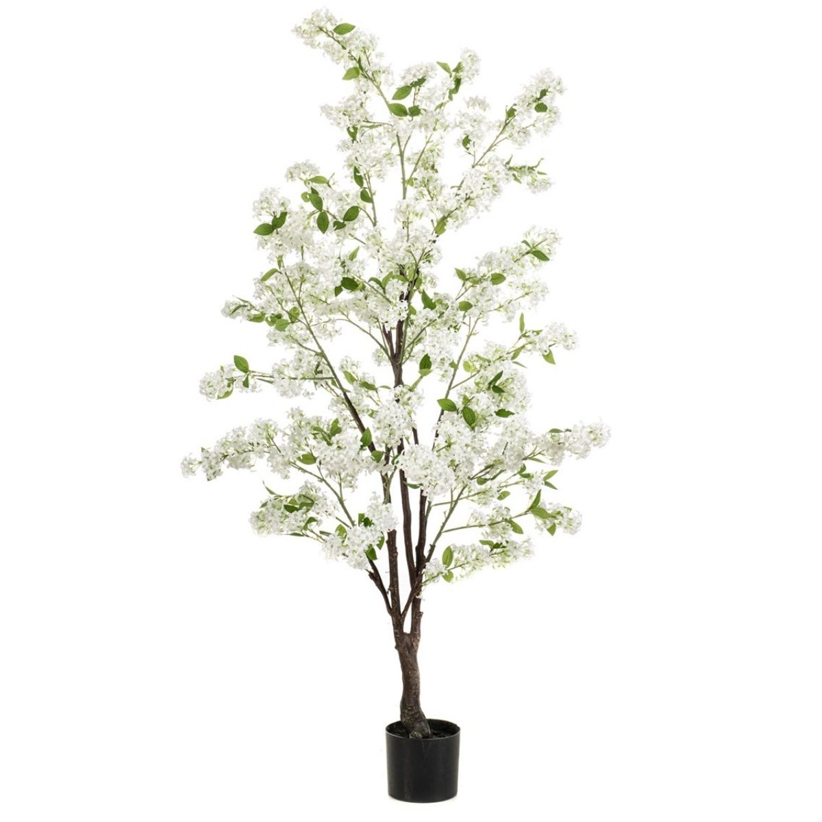 Jasmijn boom zijden buitenplant wit 160cm