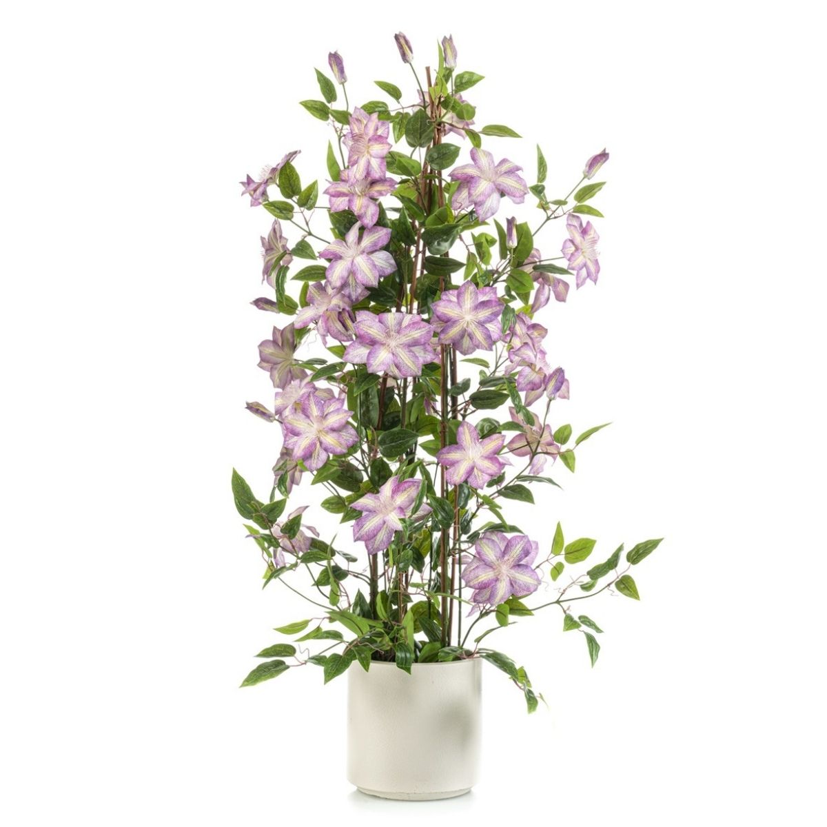 Clematis zijden buitenplant paars 120cm