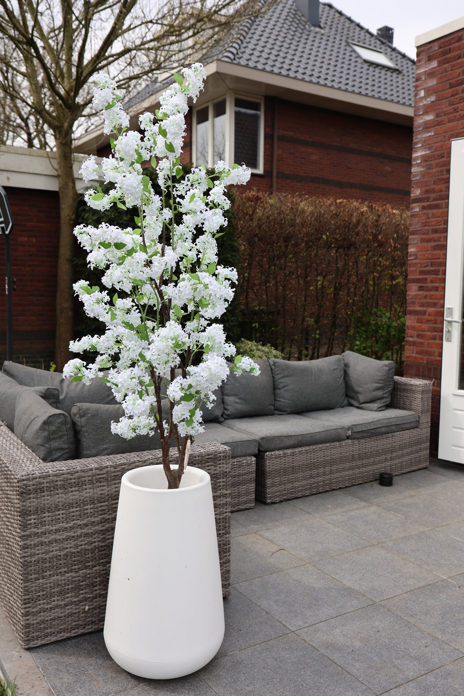 Jasmijn boom zijden buitenplant wit 160cm