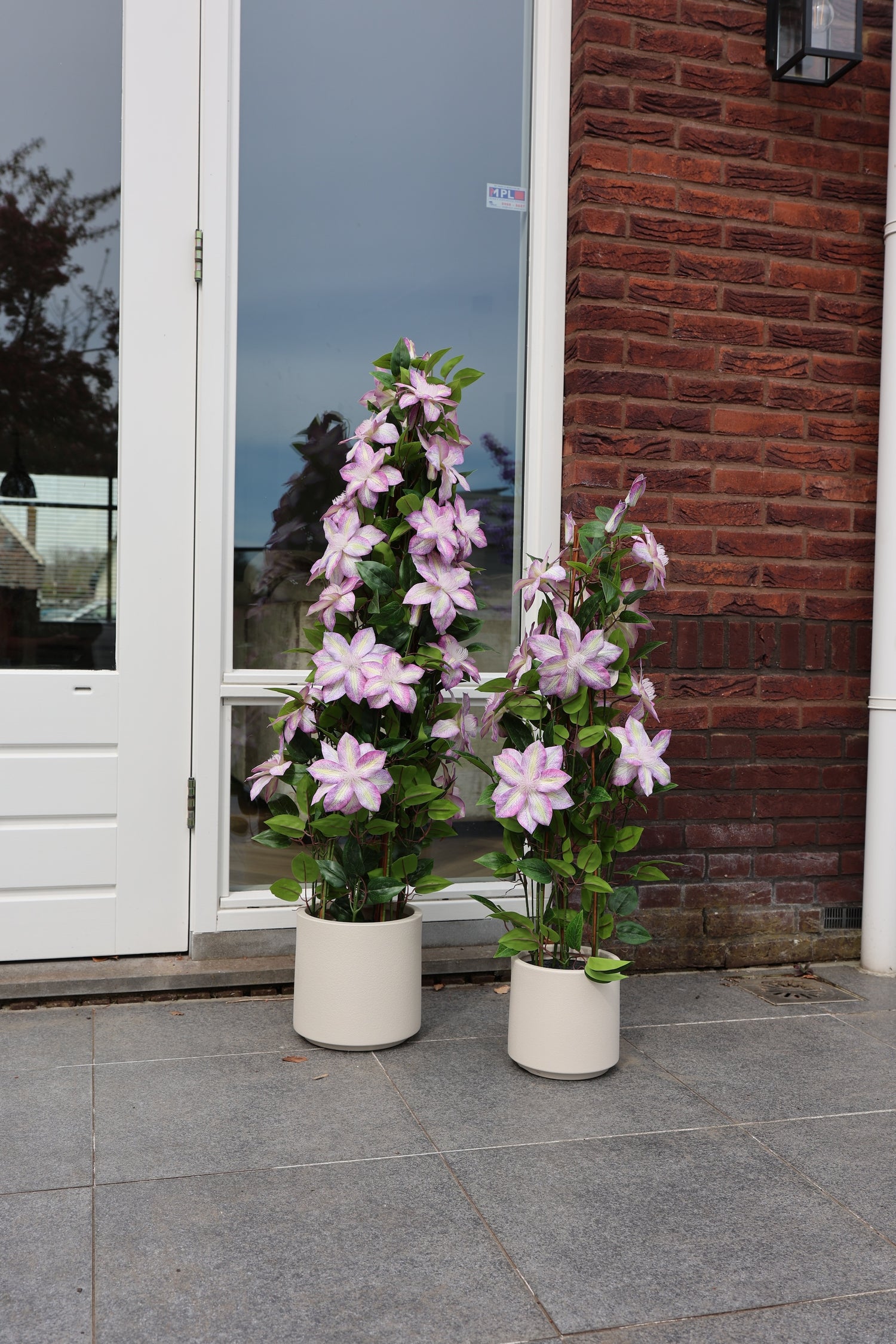 Clematis zijden buitenplant paars 95cm