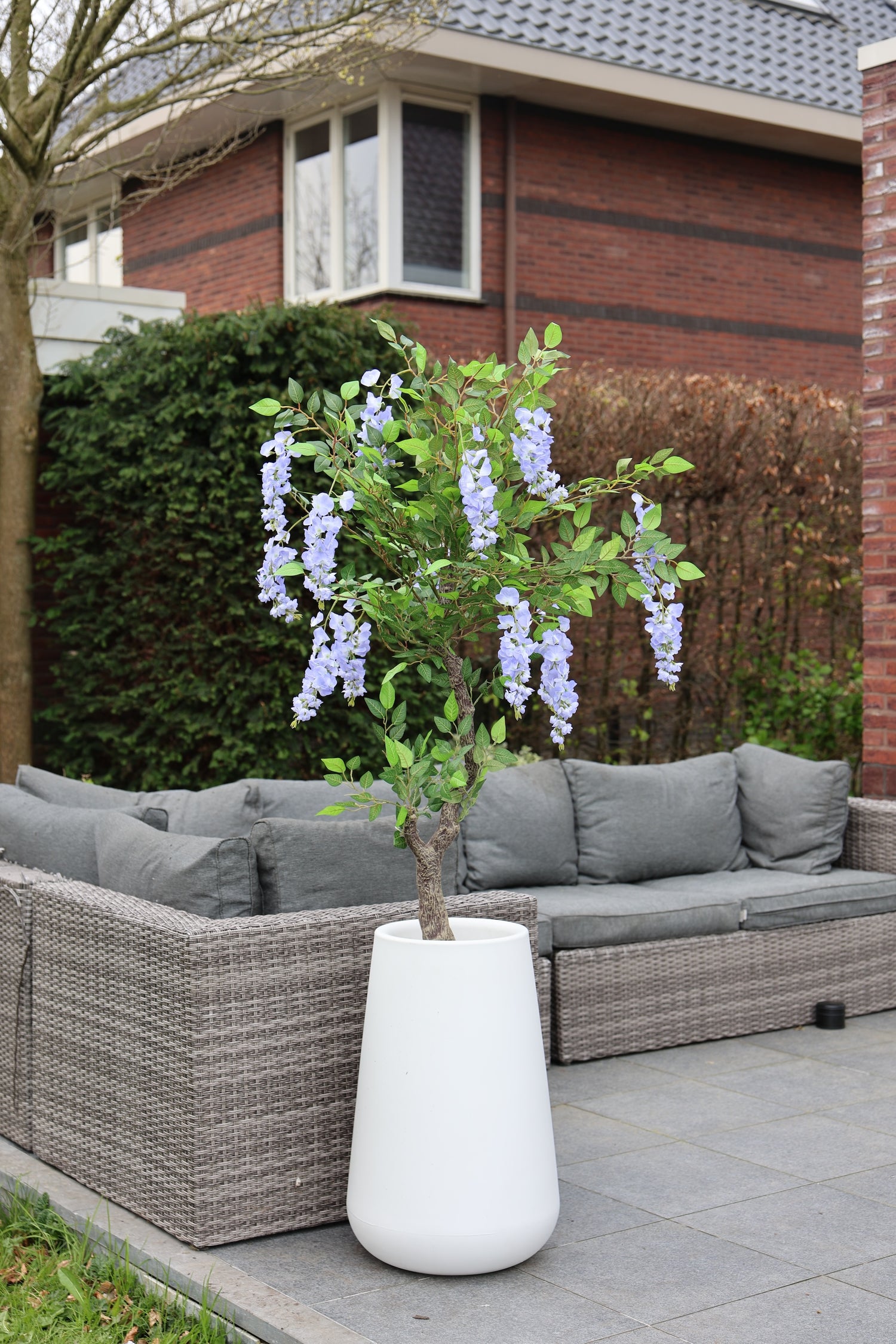 Blauwe regen zijden buitenplant 150cm