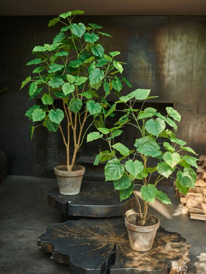 Plant groen- Zijden plant - 180 cm