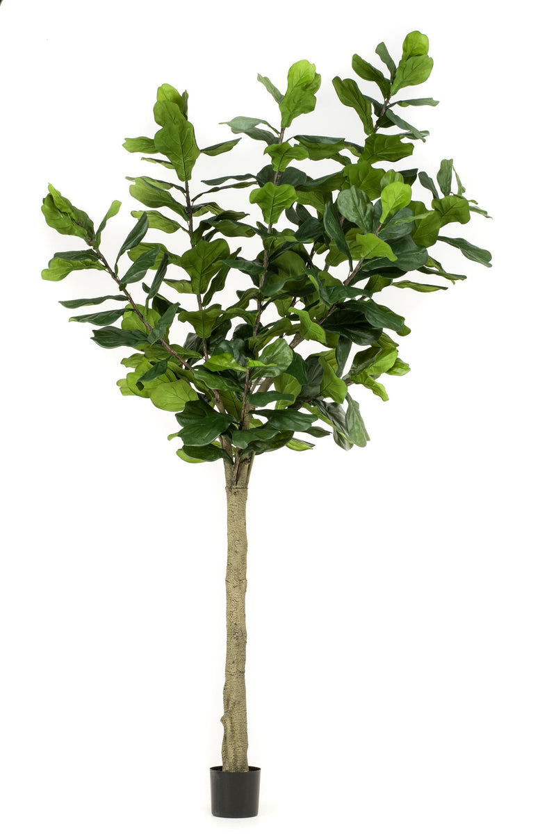 Ficus lyrata tree - Zijden plant - Kunst plant - 300 cm