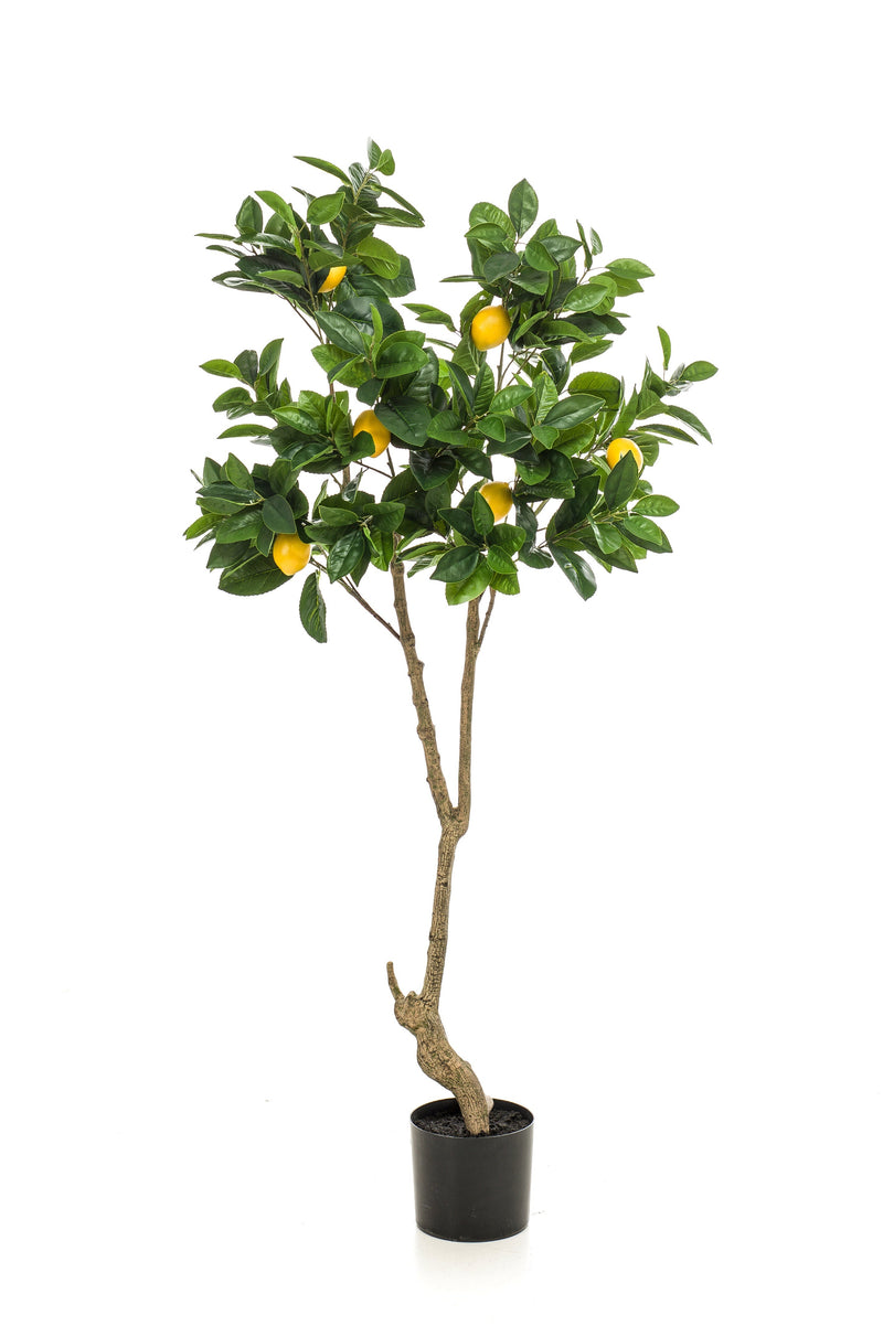 Lemon tree - Zijden plant - Kunst plant - 150 cm