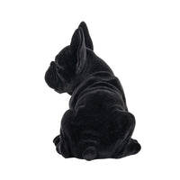 Dog Miro zwart