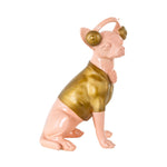 Dog Chihuahua pink