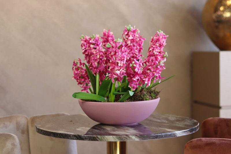 Zijden boeket - Hyacinten Sets roze