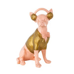 Dog Chihuahua pink