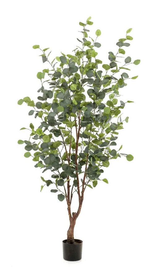 Eucalyptus tree - Zijden plant - Kunst plant - 140 cm